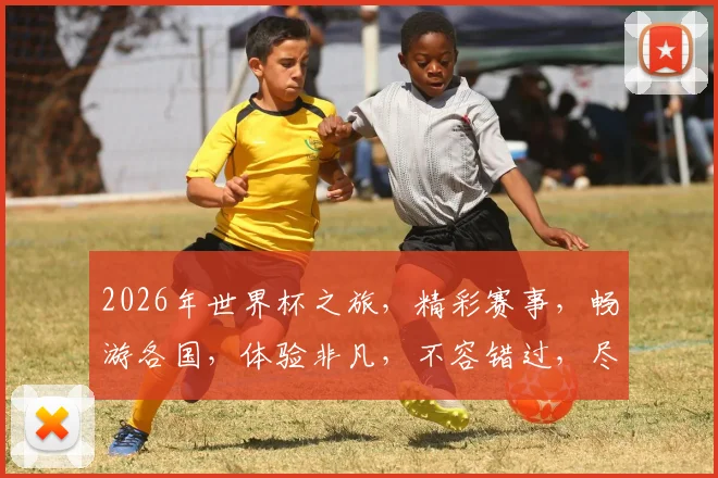 2026年世界杯之旅，精彩赛事，畅游各国，体验非凡，不容错过，尽享狂欢
