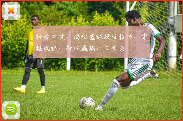 轻松中奖，揭秘蓝球投注技巧，掌握规律，轻松赢钱，三步走