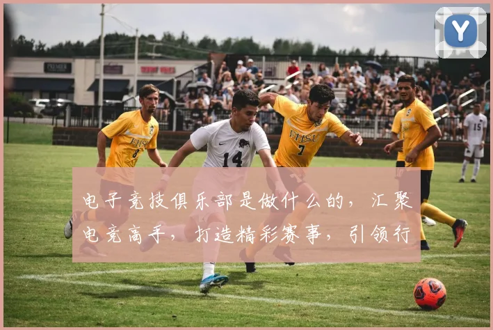 电子竞技俱乐部是做什么的，汇聚电竞高手，打造精彩赛事，引领行业发展，助力电竞梦想。