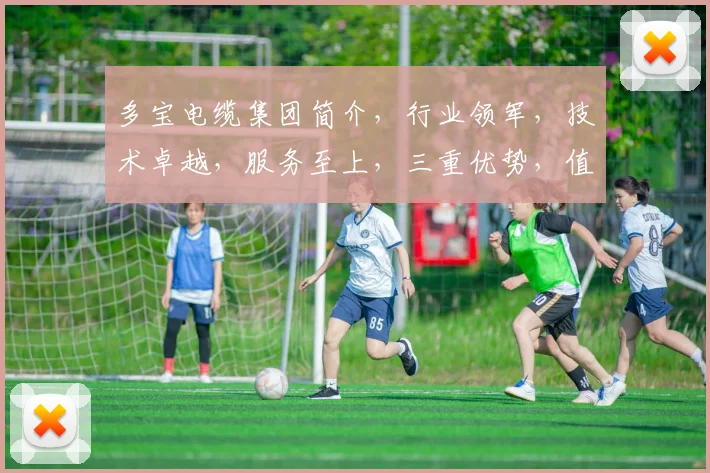 多宝电缆集团简介，行业领军，技术卓越，服务至上，三重优势，值得信赖，